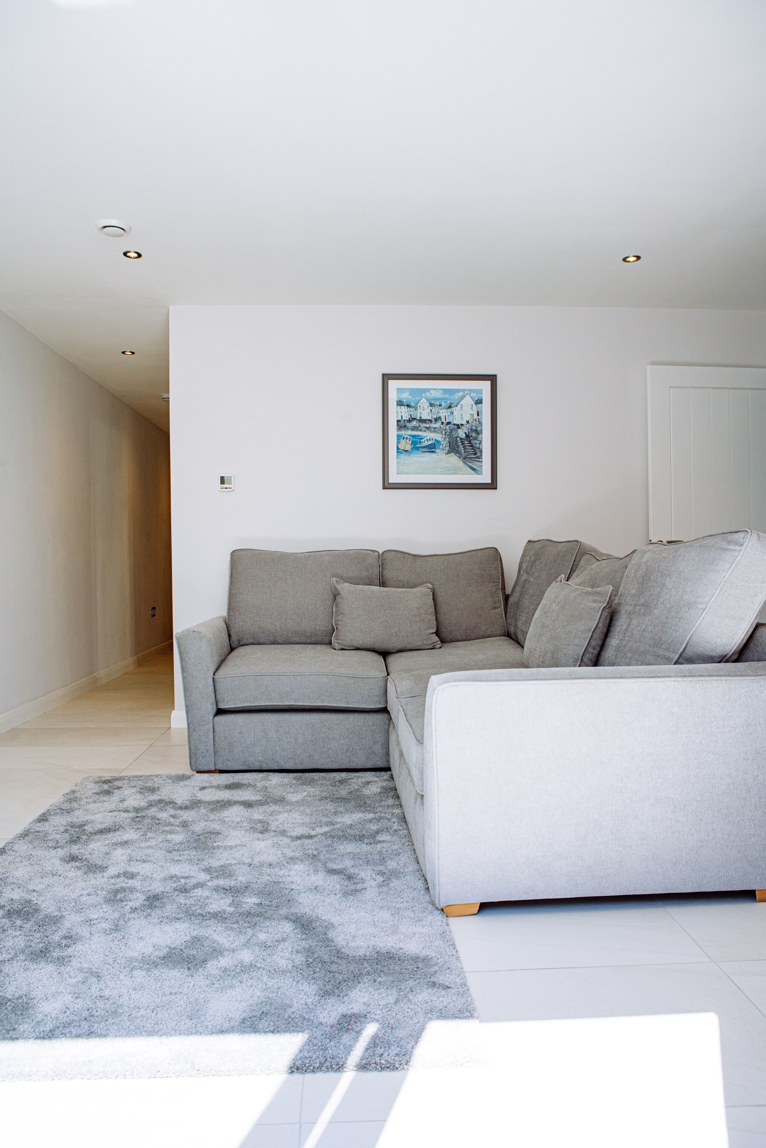 A modern living room with a grey sofa, a grey rug, and a framed picture on the wall.