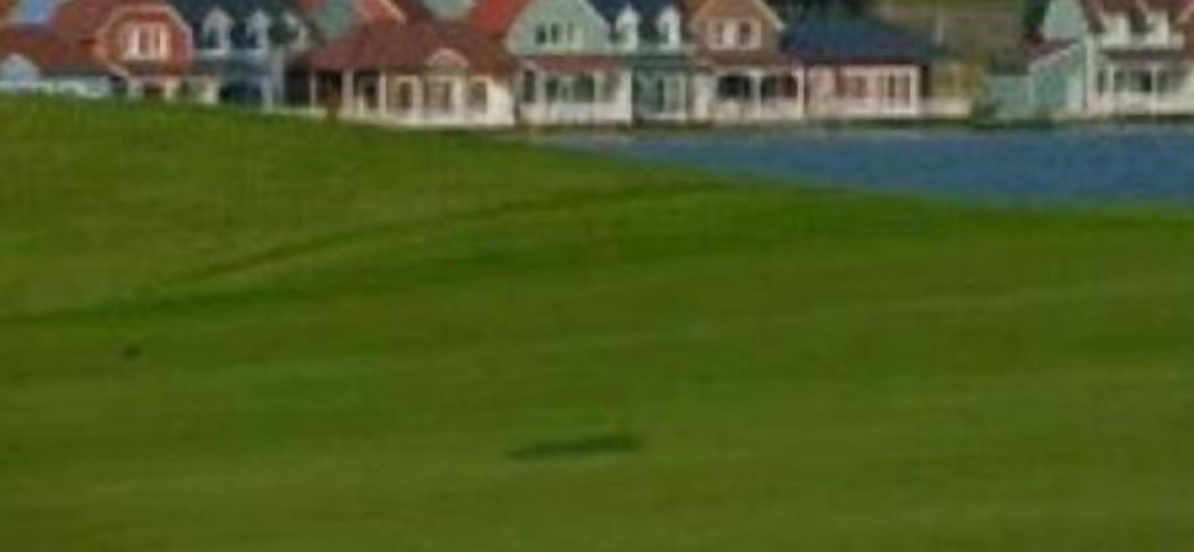 A row of houses with a grassy area in the foreground.