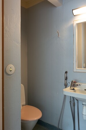 A bathroom with a toilet, sink, and mirror.