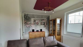 Basic Apartment | Living area | 50-inch TV with satellite channels