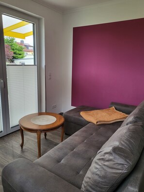 50-英寸电视（配备卫星频道）