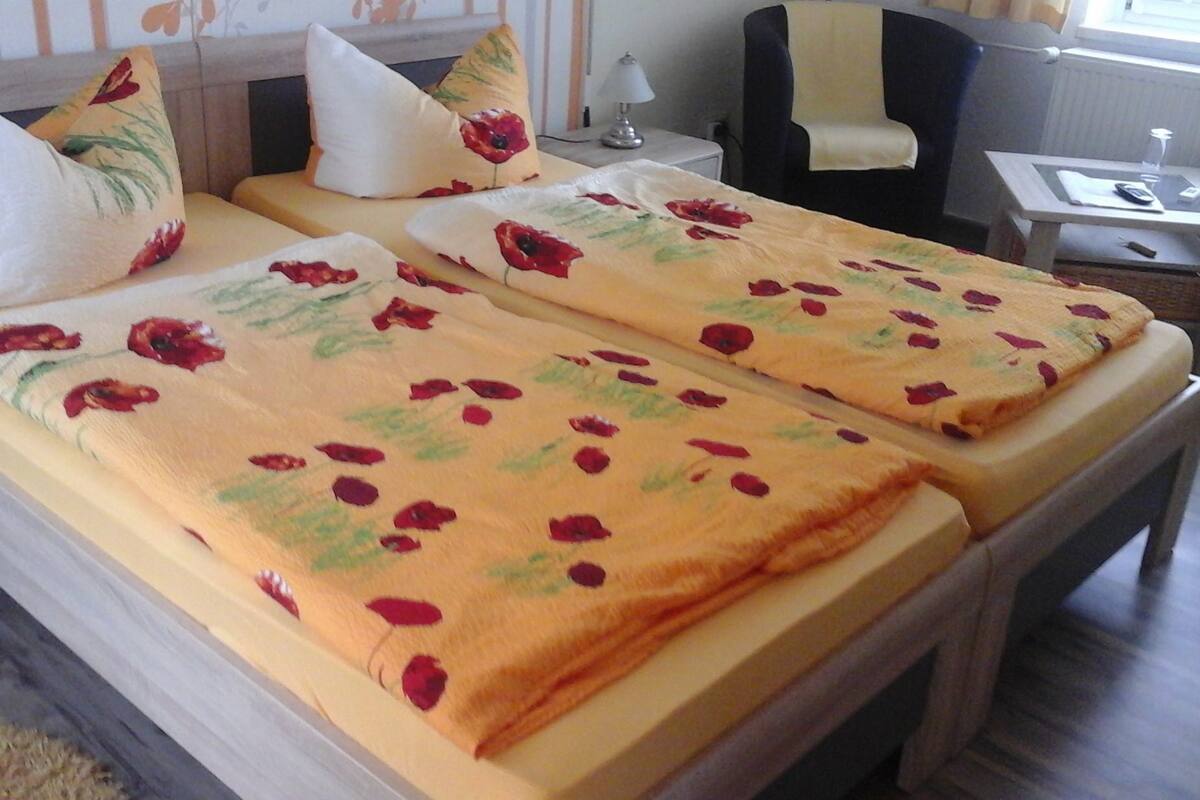 Basic Twin Room | Hypo-allergenic bedding available, iron/ironing board (on request)