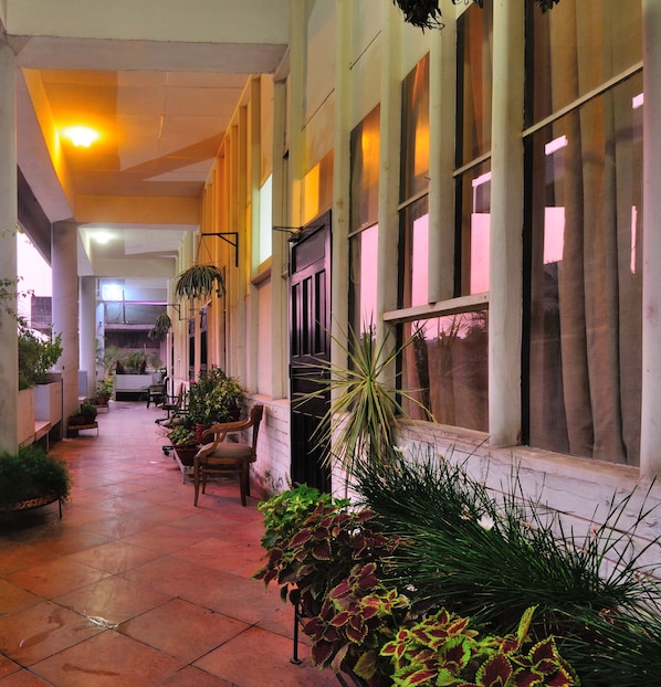 Relax in a serene corridor with potted plants and comfortable seating, surrounded by natural light and warm ambiance.