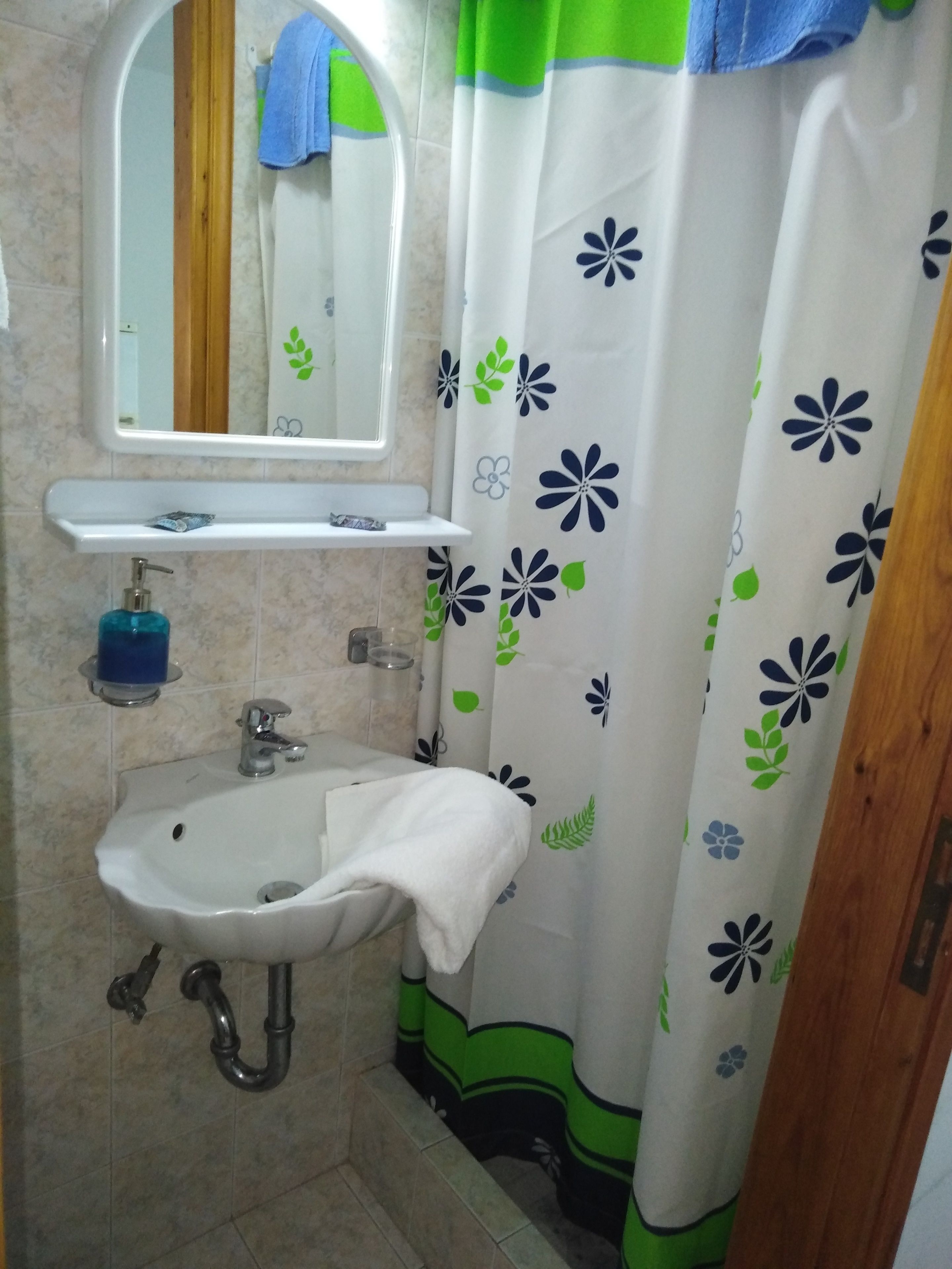 A bathroom with a white sink, a mirror, a blue soap dispenser, and a shower curtain with a floral pattern.