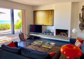 Télévision, cheminée, lecteur de DVD, livres