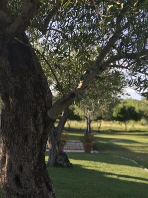 Exterior - L'Eremo Luxury Apartments (Corfu)