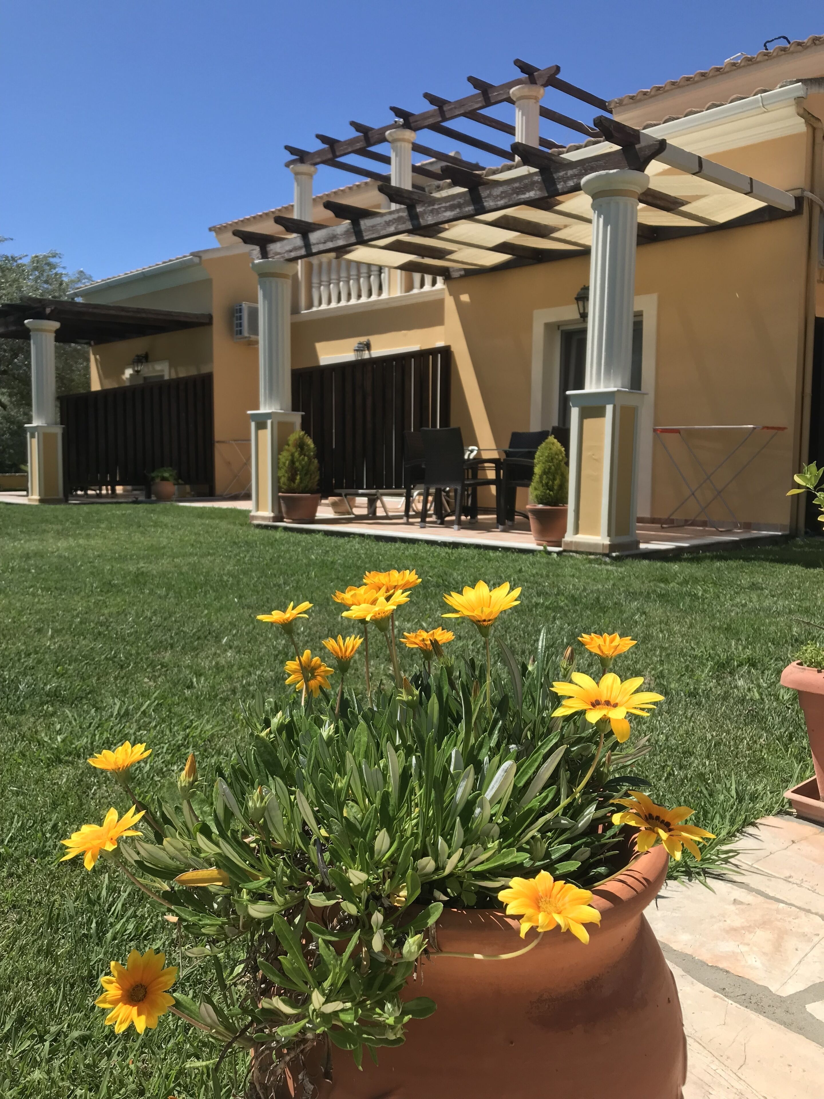 A patio area with a pergola, outdoor seating, and a flower bed with yellow flowers.