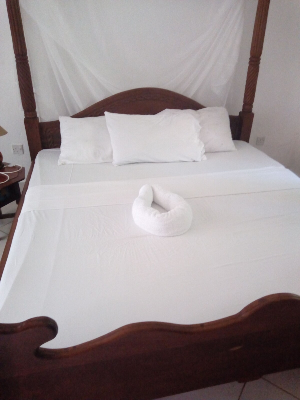 Image de profil de l’hôte