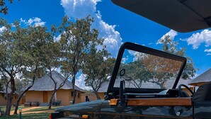 Game drive - Fumani Game Lodge (Modimolle)