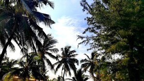 A courtyard with palm trees, a building with a tiled roof, and a well-maintained lawn. - Hotel Riviera Ramatou Plage (Lomé)