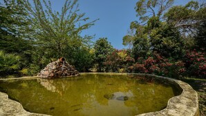 외부 세부 사진