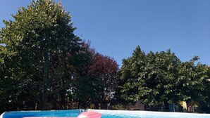 A swimming pool with a pink inflatable float. - Tramontodivino B&B (Ravenna)