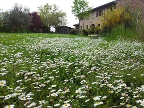 Property grounds - Tramontodivino B&B (Ravenna)