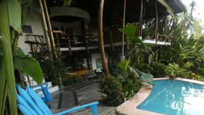 A wooden deck with blue chairs, a small pool, and lush greenery. - The Osa Peninsula is teeming with exotic monkeys, birds, and wildlife.  (Puerto Jiménez)