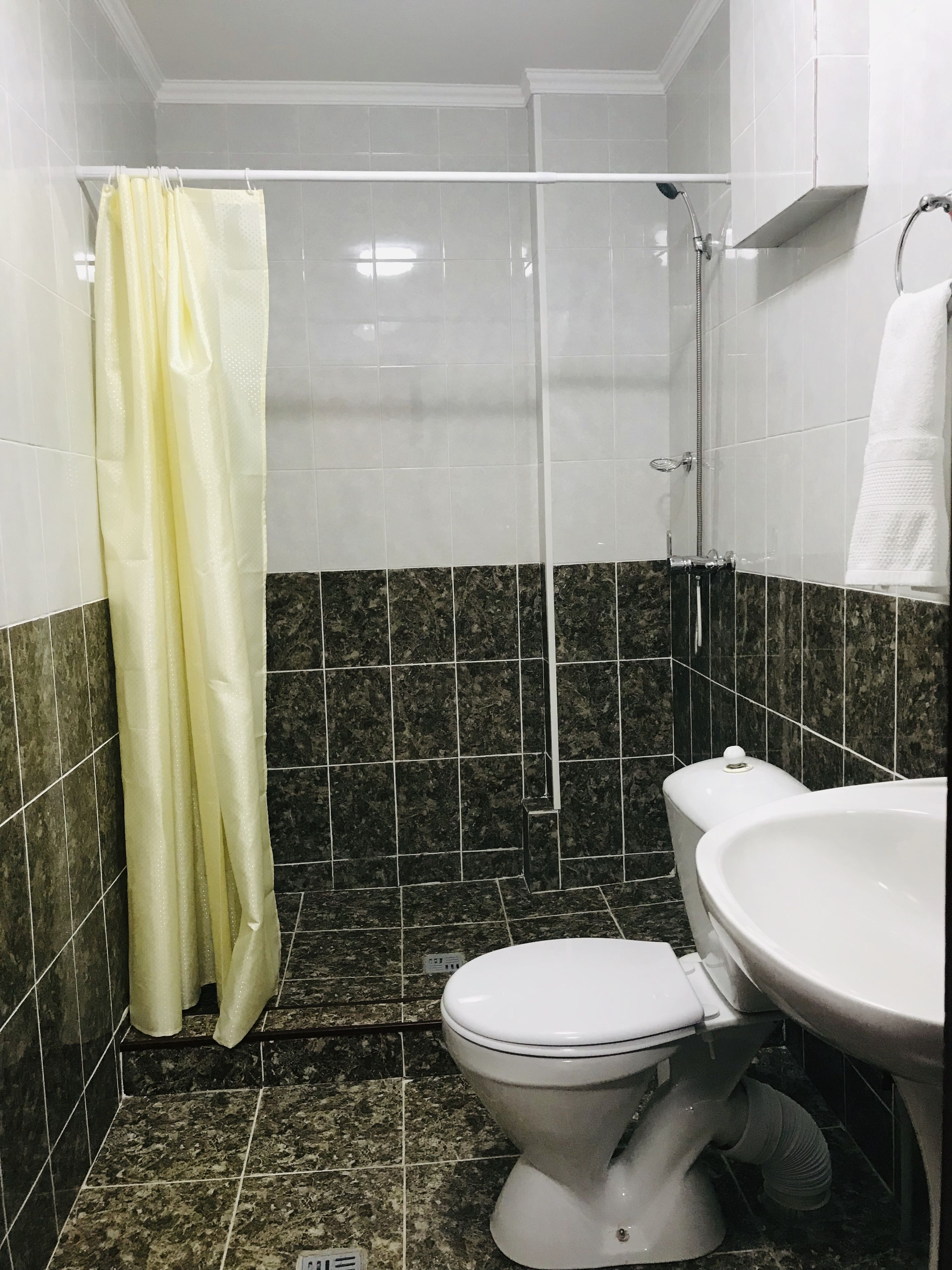 Un baño con ducha, inodoro y lavabo.
