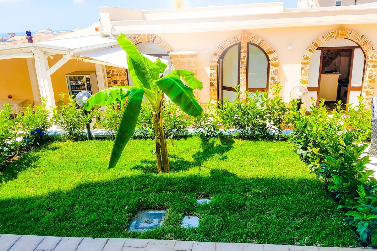 Panoramic Room, Garden View | View from room
