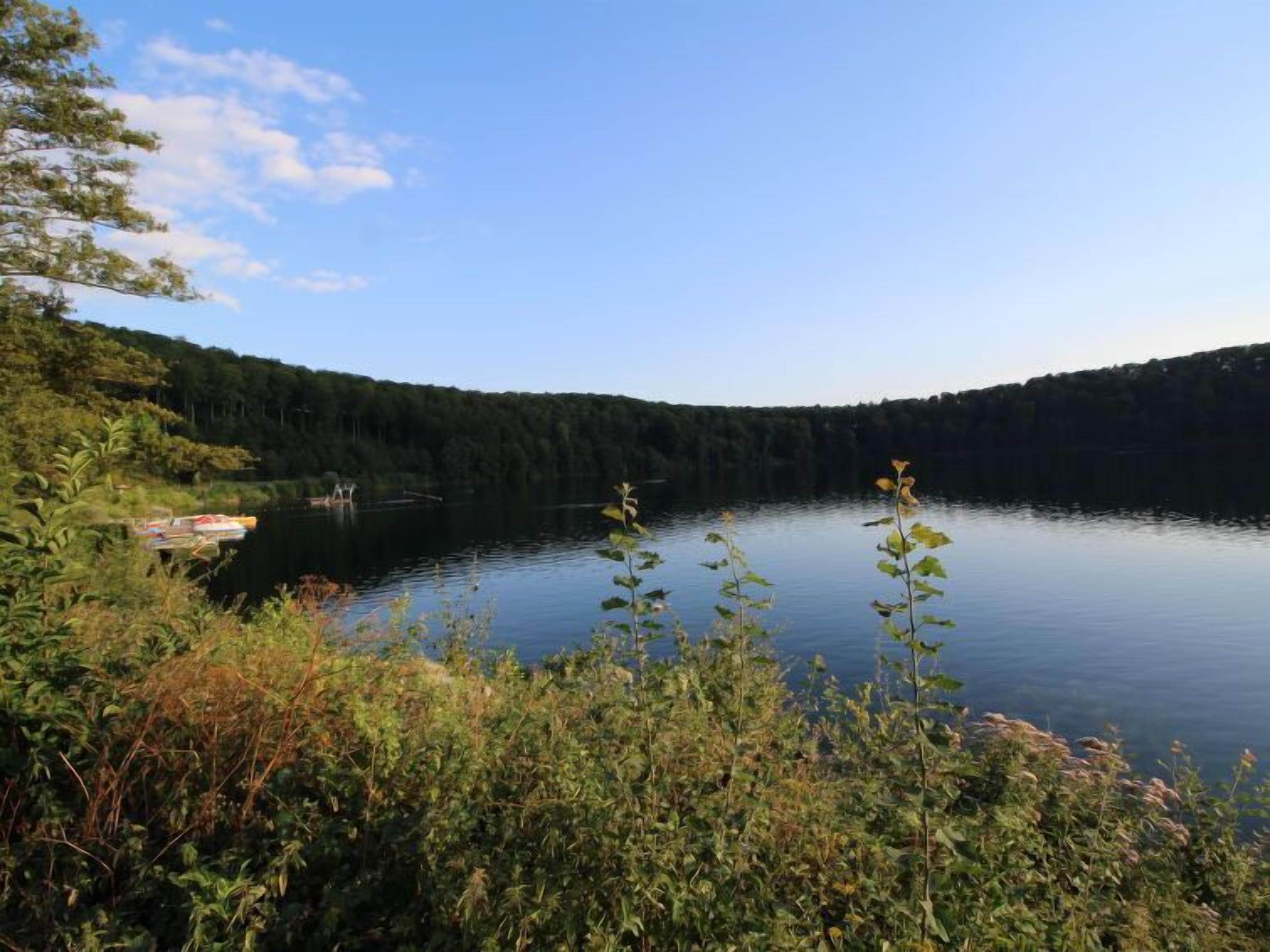 A serene lake surrounded by dense forest, with a dock extending into the water.