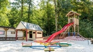 A playground with a slide and swings in a sandy area surrounded by trees. - Campinghotel Eulenburg - Hostel (Osterode am Harz)