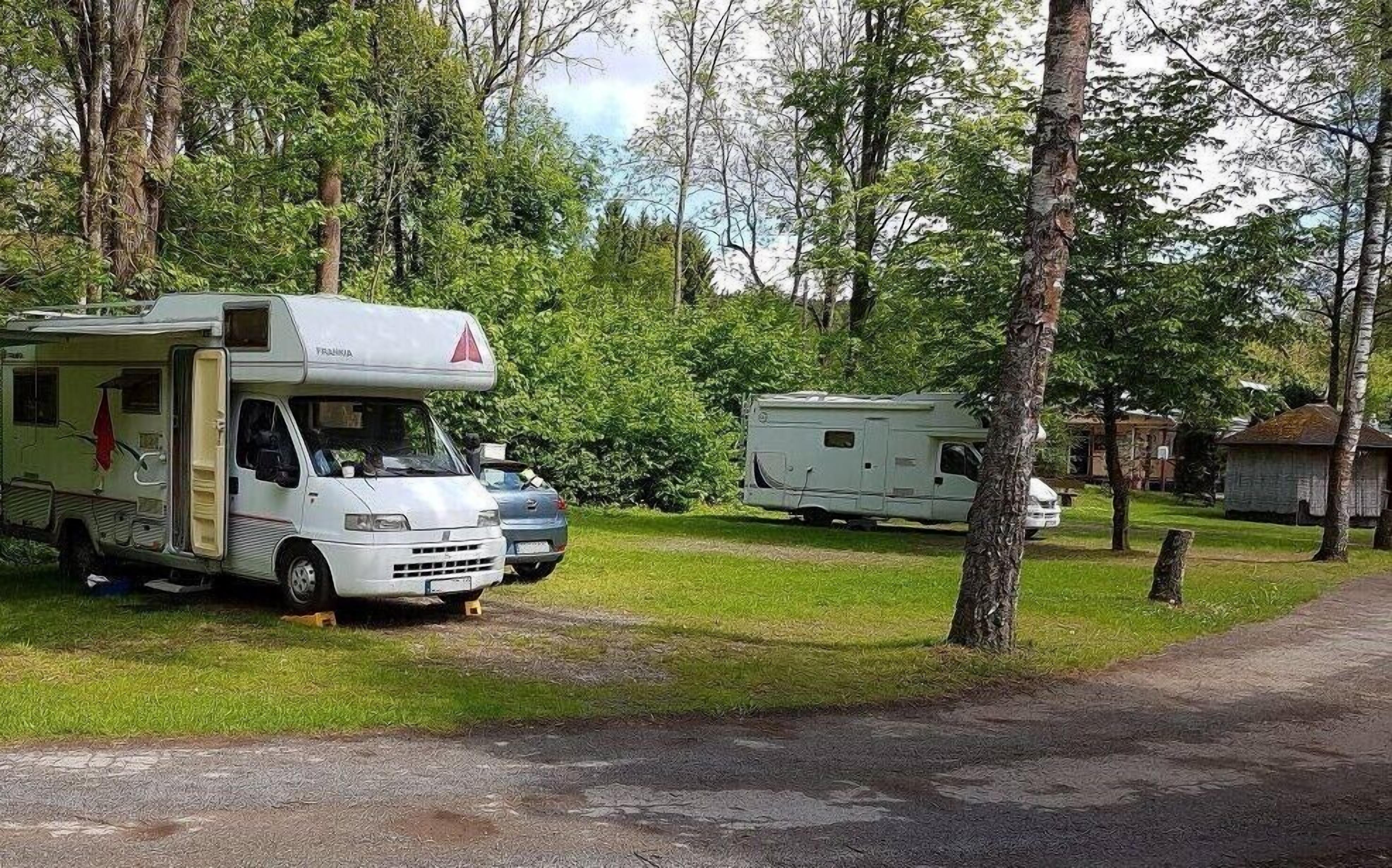 A campsite with two RVs parked on a grassy area surrounded by trees.