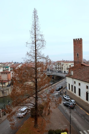 A view of a town with a prominent tower, a river, and a tree in the foreground. - Ca' Lou al Teatro (Vicenza)