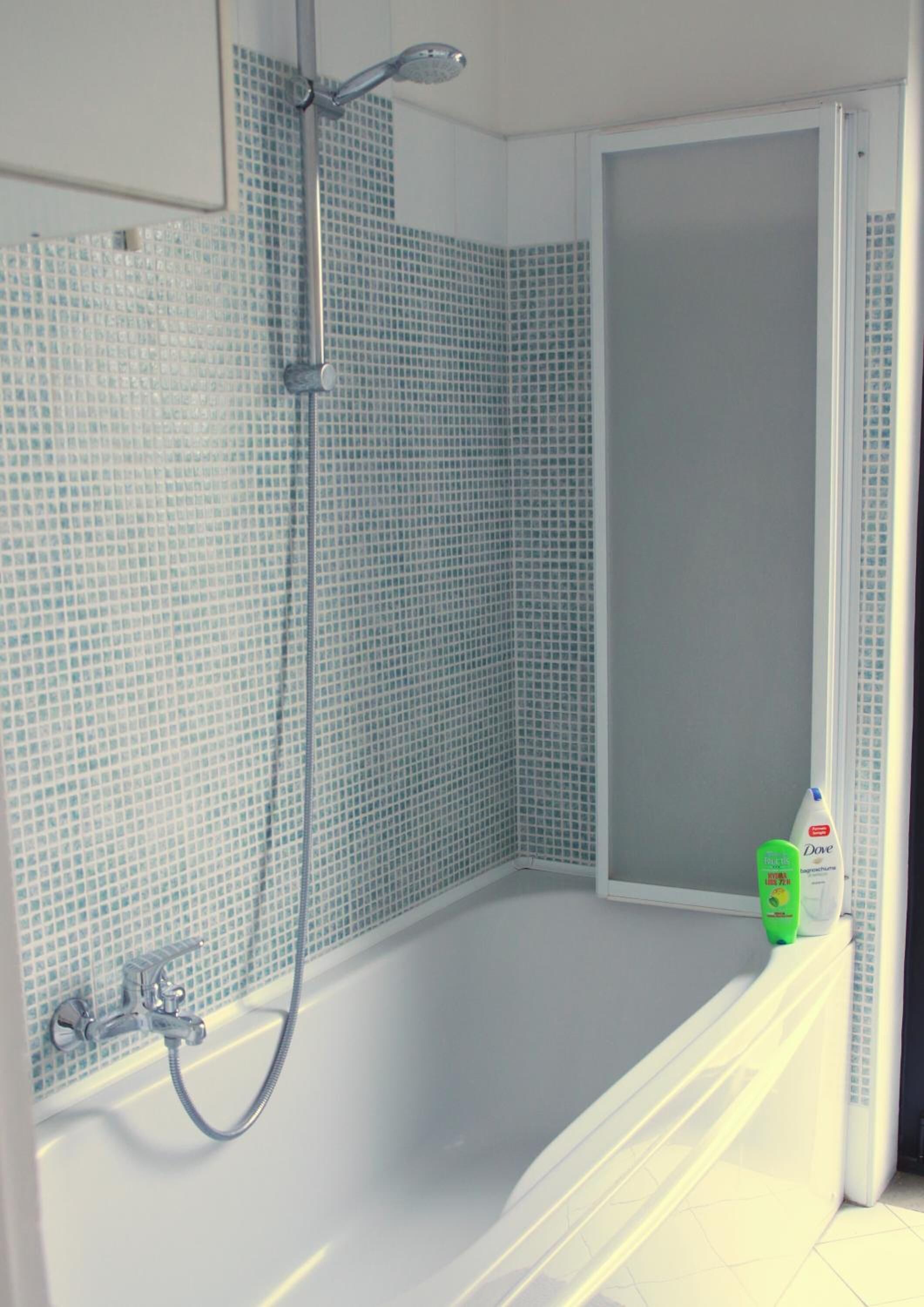 A modern bathroom with a shower, a bathtub, and a toilet.