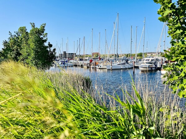 Marina - Exclusive North Sea domicile: 120m² on the dyke, 5 persons, large garden! (Carolinensiel)