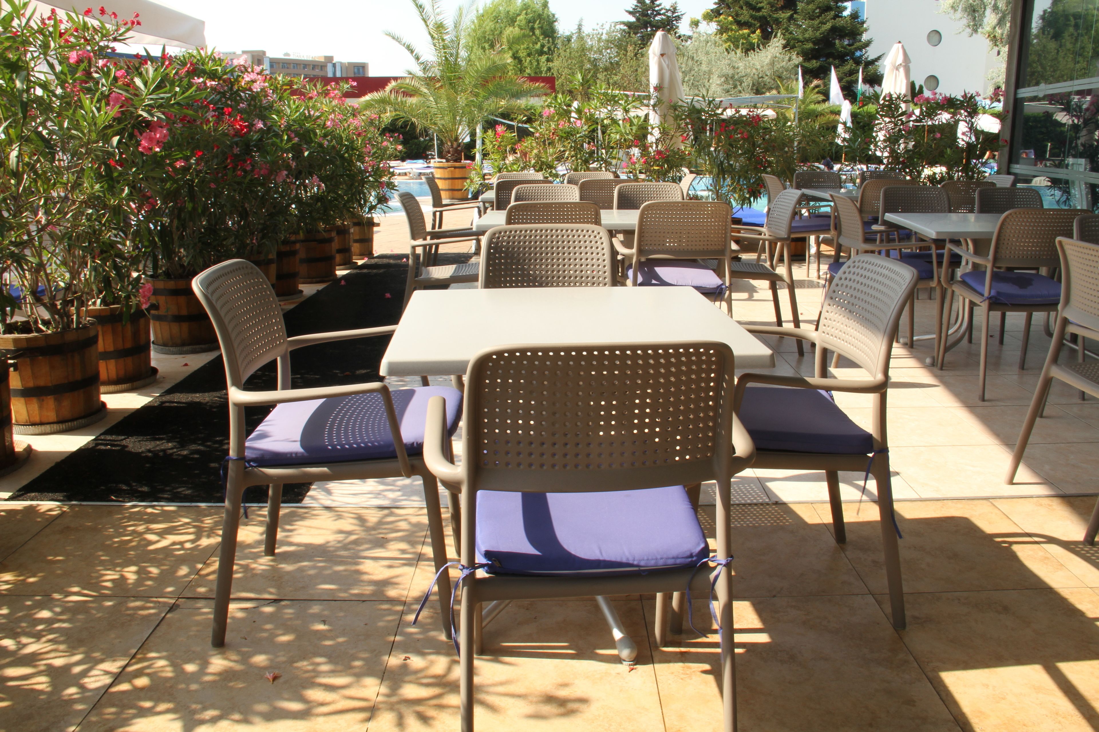 An outdoor patio with multiple tables and chairs, surrounded by potted plants and a pool.