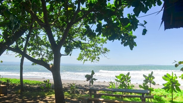 Une vue sur la plage, avec un banc en bois et une végétation luxuriante.