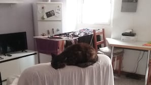 內部