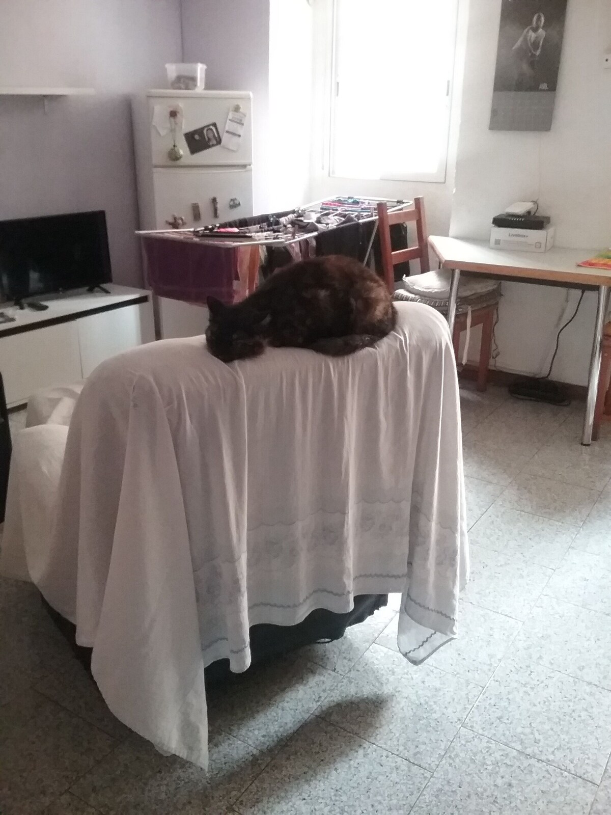 Imagen de perfil del propietario o de la propietaria