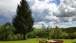 A picnic table and benches in a grassy field with trees and a cloudy sky.