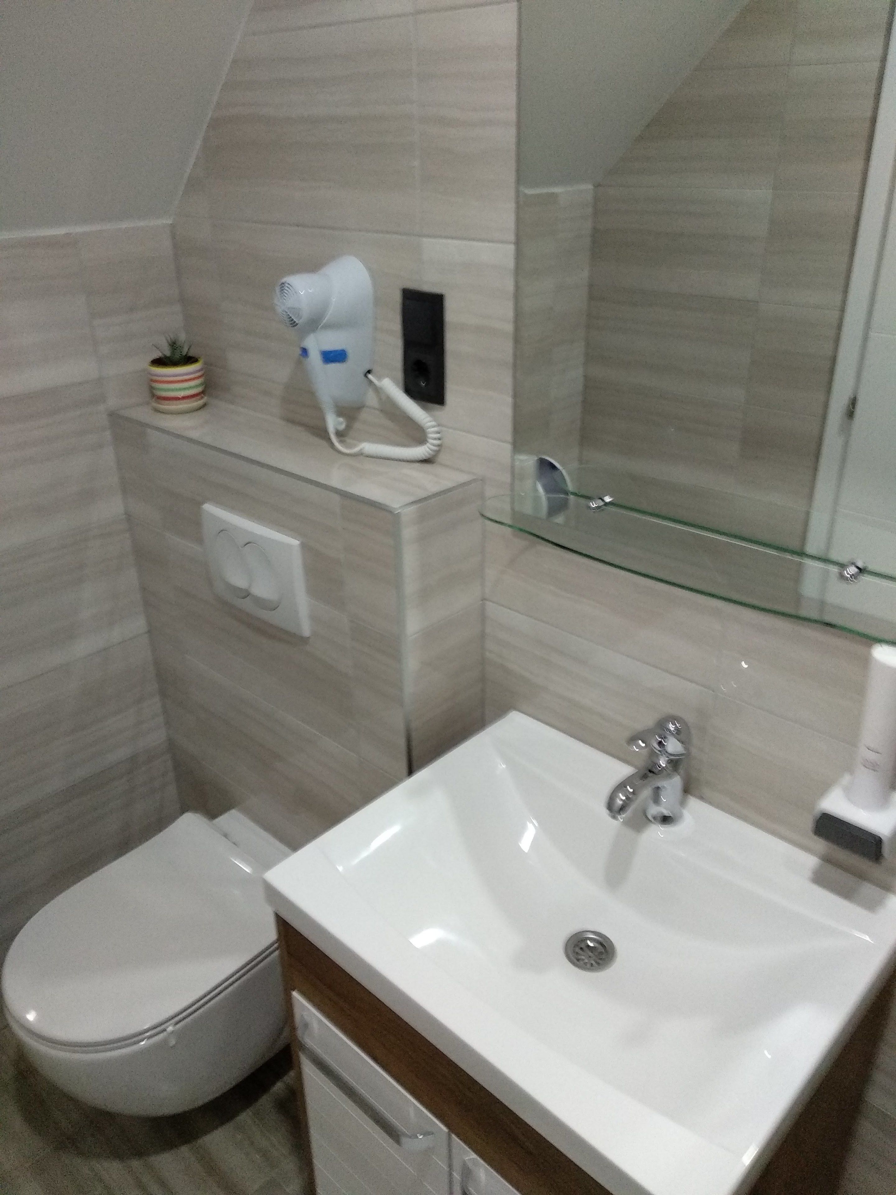 A bathroom with a toilet, a sink, and a hairdryer on a shelf.