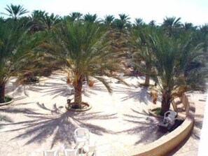 A sandy outdoor area with palm trees and white chairs. - Résidence El Arich (Tozeur)