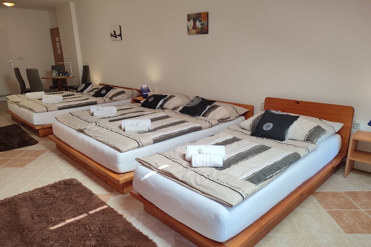 Room (5 people, bath-tub) | Laptop workspace, iron/ironing board (on request), WiFi (free)