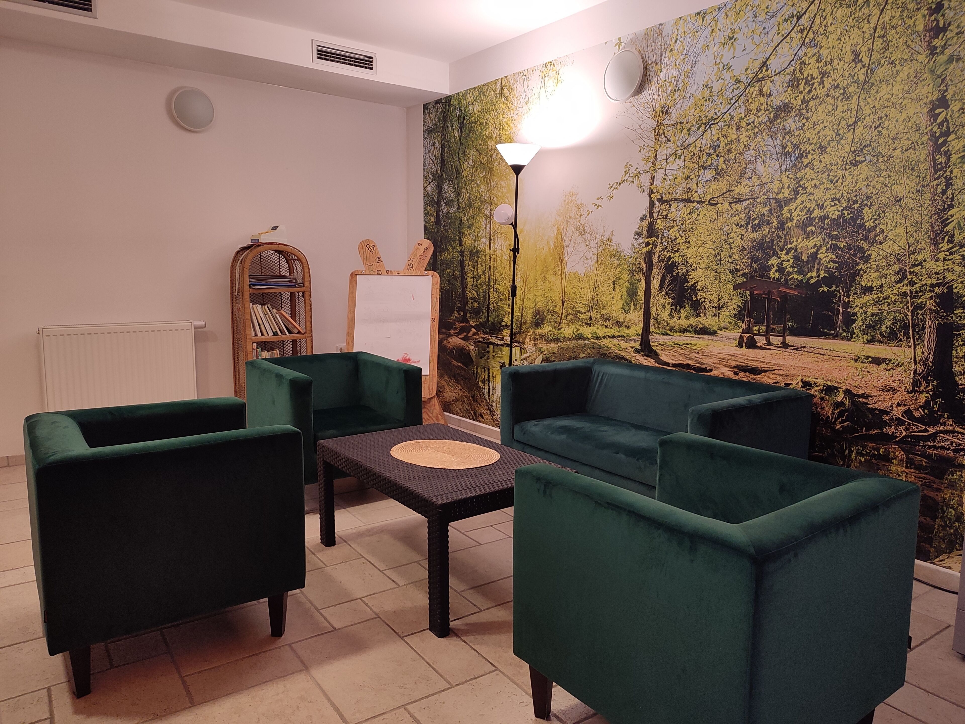 منطقة الاستقبال