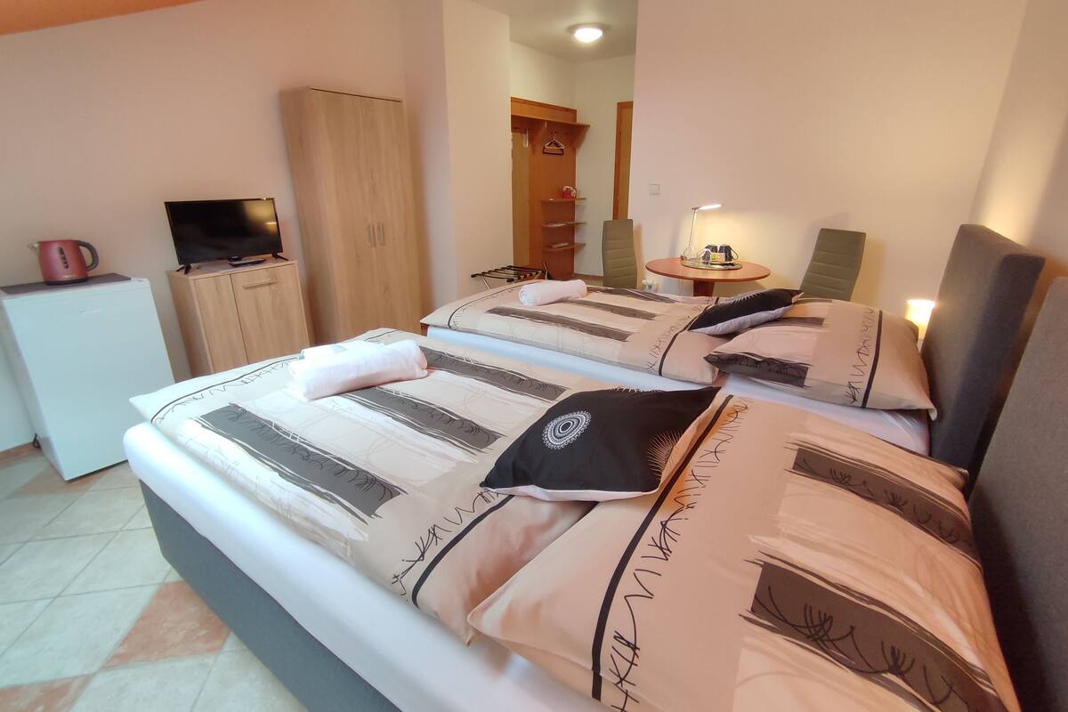 A bedroom with two beds, a TV, a wardrobe, and a small table with a lamp.