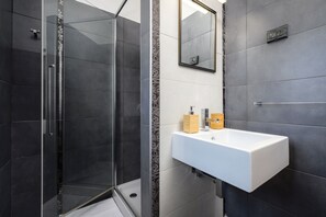 Shower, hair dryer, bidet, towels