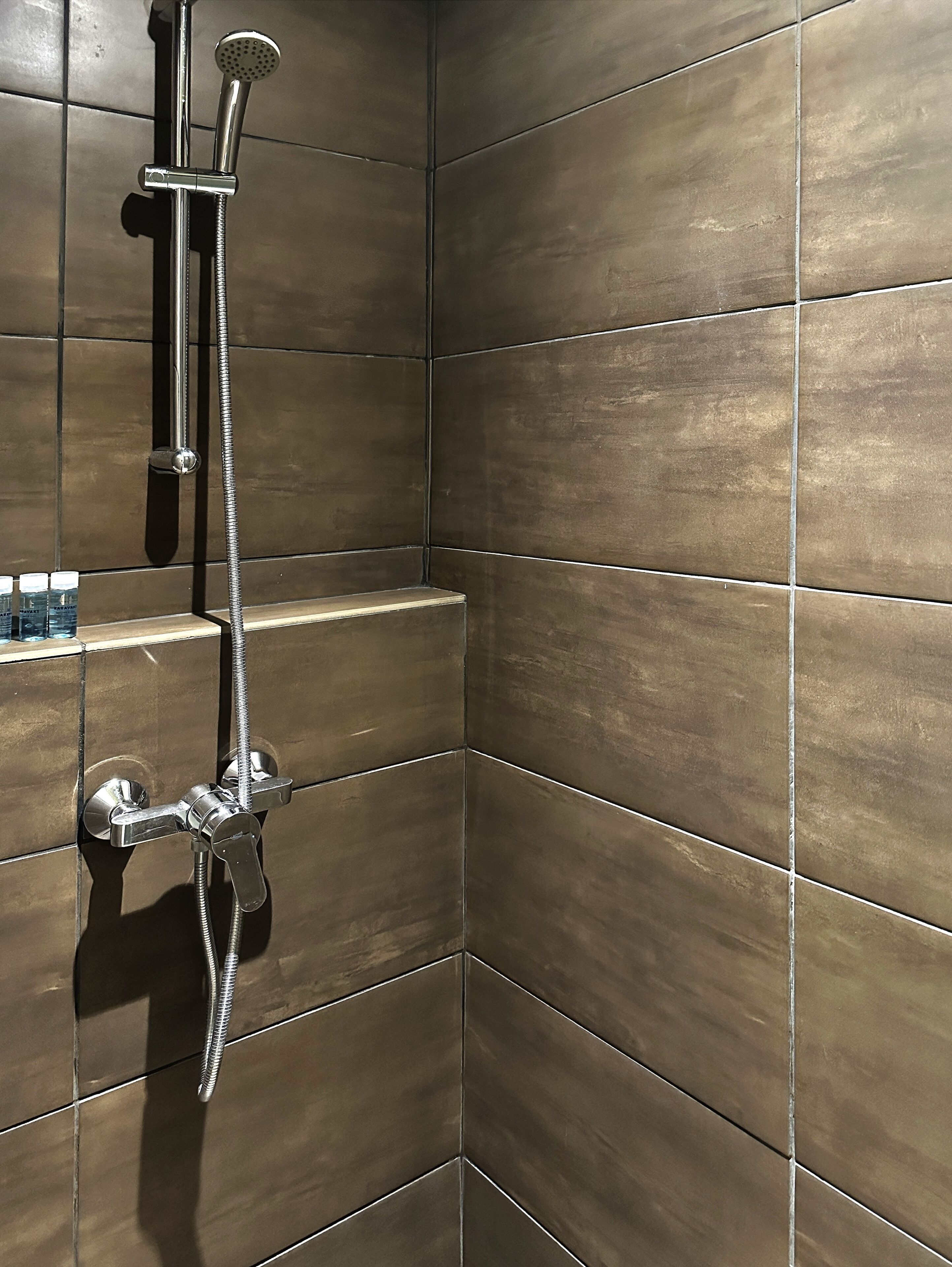 A shower area with a chrome showerhead and hose, tiled walls, and a shelf with bottles.