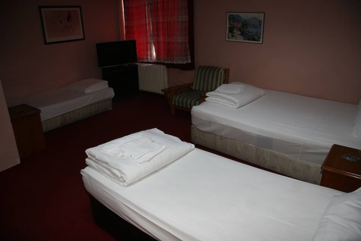 Soundproofing, free WiFi, bed sheets