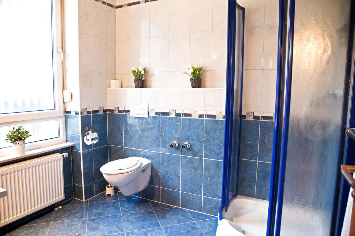 A bathroom with a toilet, a shower, and a radiator.