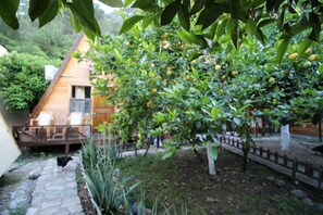 Fachada del alojamiento