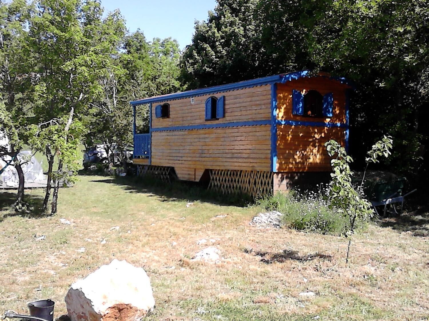 Une cabane en bois avec un petit porche et une fenêtre, entourée d’arbres et d’herbe.