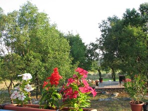 Terrein van de accommodatie