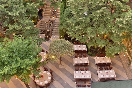 Vista al jardín