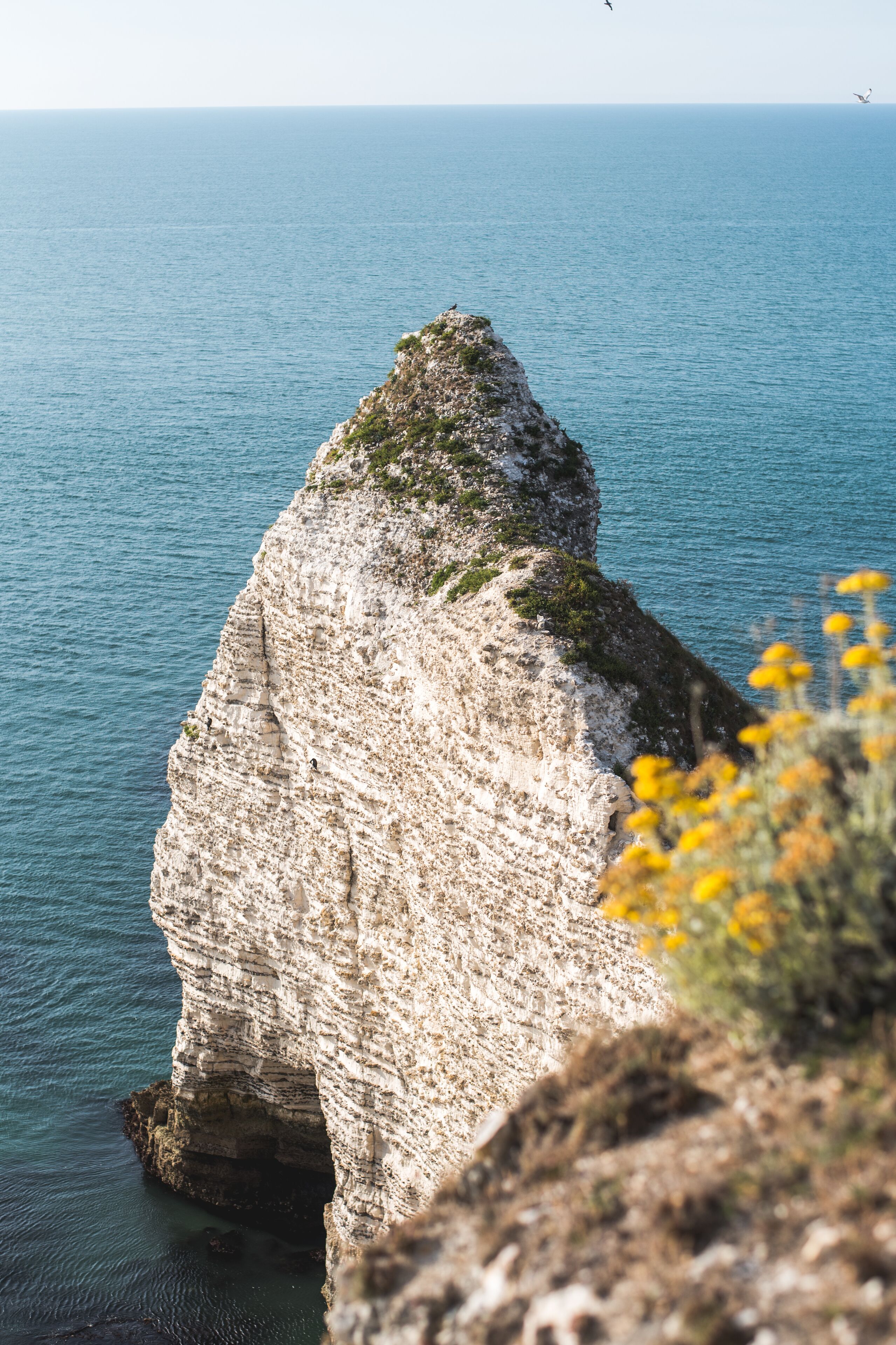Une falaise côtière avec une étroite ouverture donnant sur la mer, entourée de végétation.