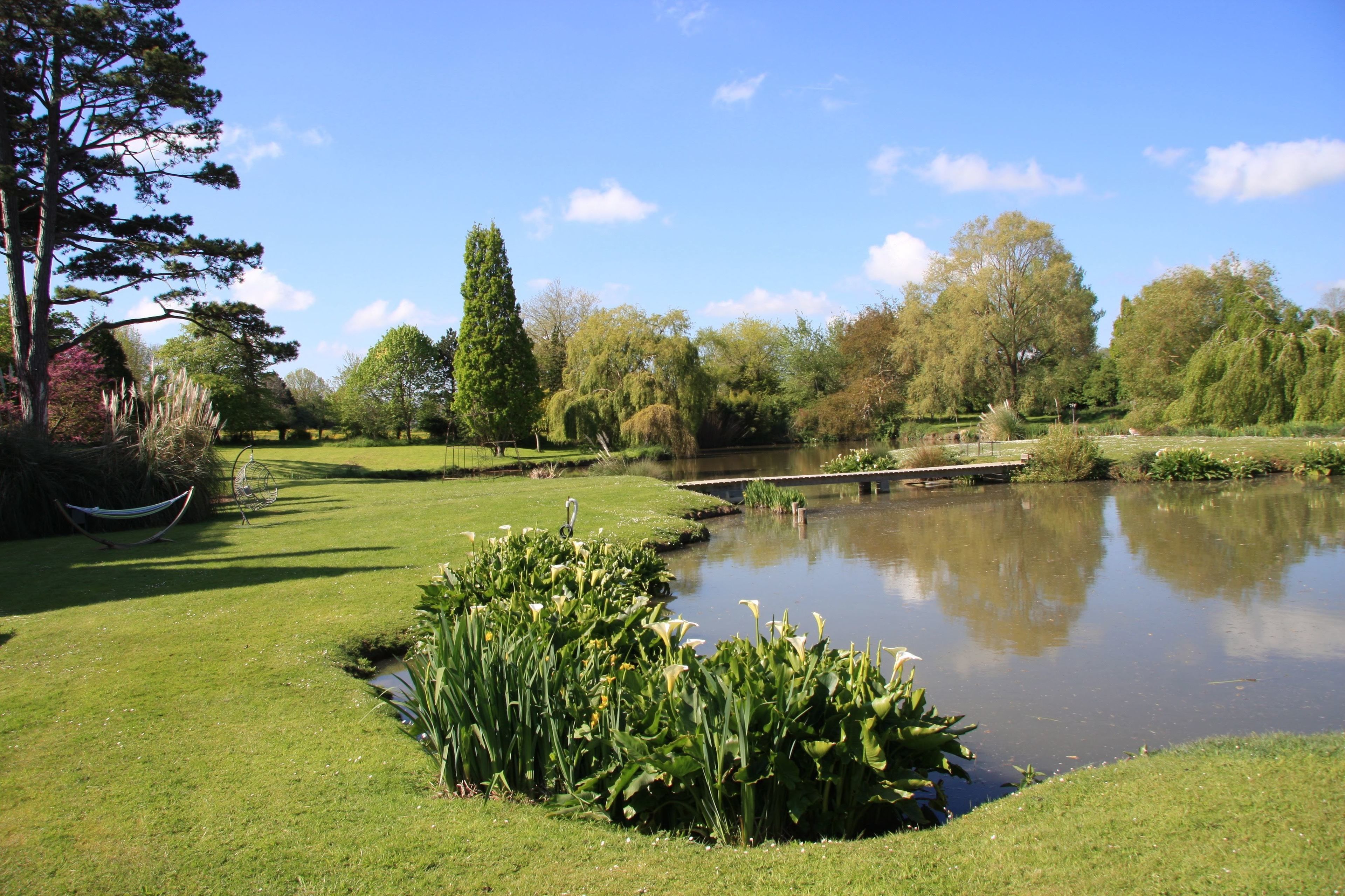 A serene park with a pond, lush greenery, and a hammock.