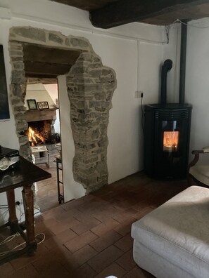 Flachbildfernseher, Kamin