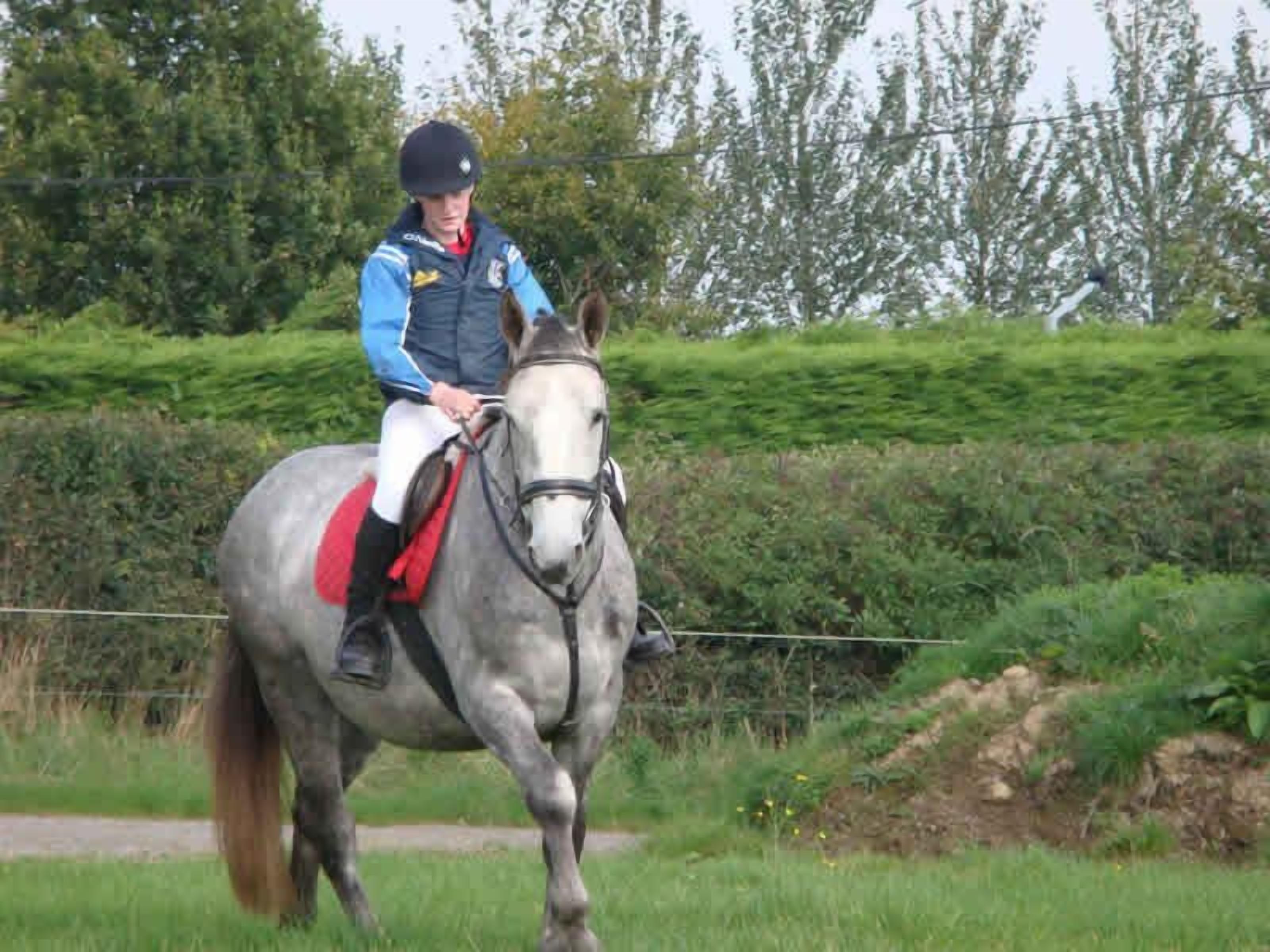 A person riding a horse on a grassy path with trees in the background.