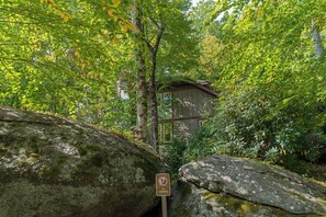 المنطقة المحيطة بالمنشأة