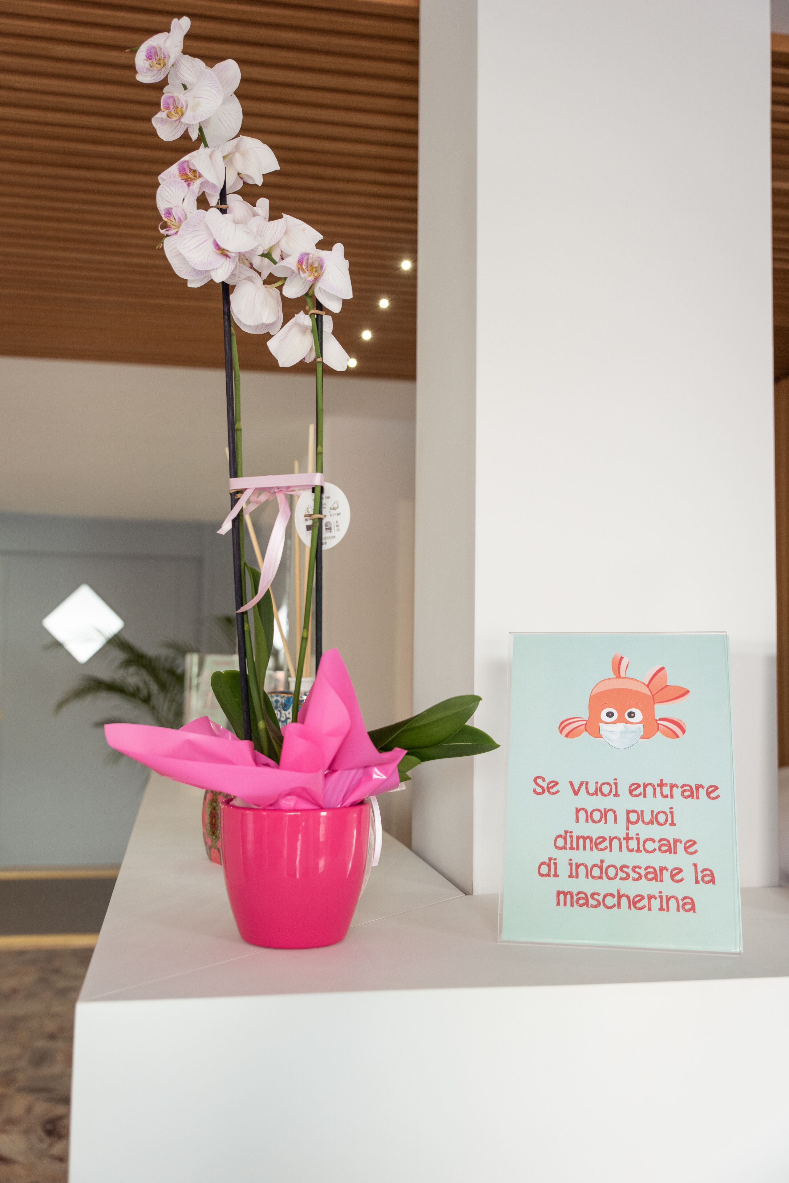 Een roze orchidee in een vaas met een bordje in Italiaans.